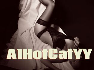 A1HotCatYY