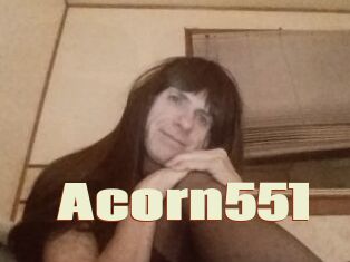 Acorn551