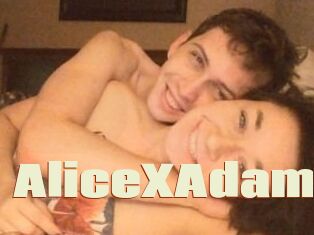 Alice_X_Adam