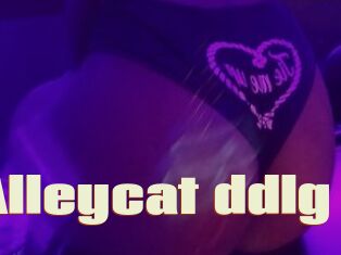 Alleycat_ddlg