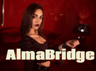 AlmaBridge