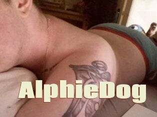 Alphie_Dog