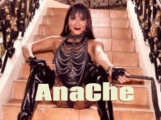 AnaChe