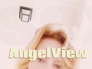 AngelView