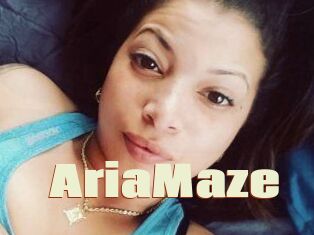 Aria_Maze