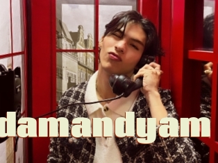 Adamandyam