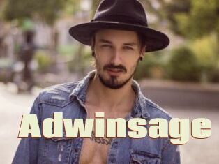 Adwinsage