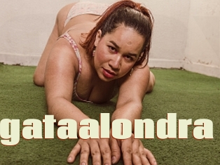 Agataalondra