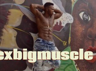 Alexbigmuscle