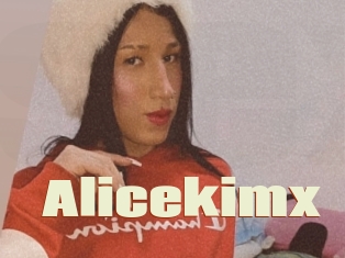 Alicekimx