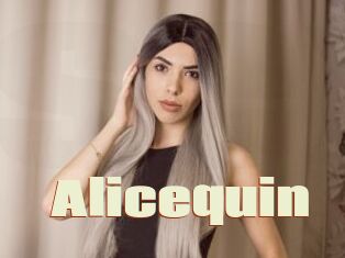 Alicequin