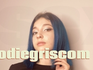 Alodiegriscom