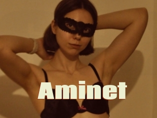 Aminet