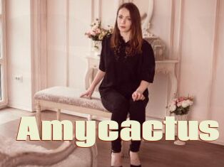 Amycactus