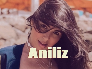 Aniliz