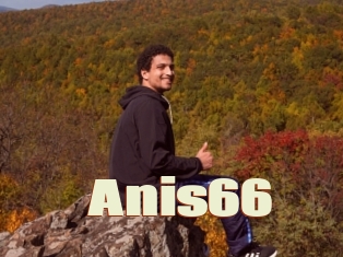 Anis66