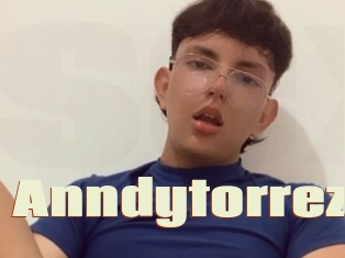 Anndytorrez