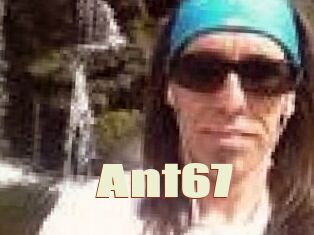 Ant67