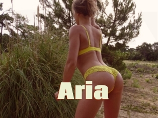 Aria