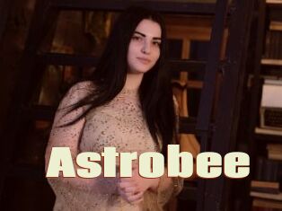 Astrobee