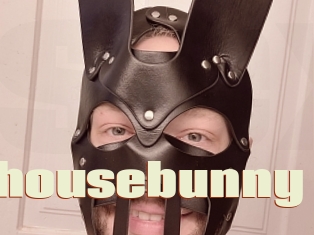 Averagehousebunny