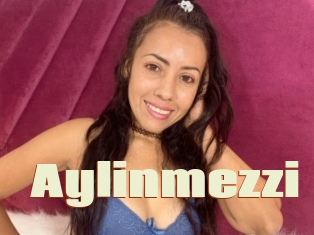 Aylinmezzi