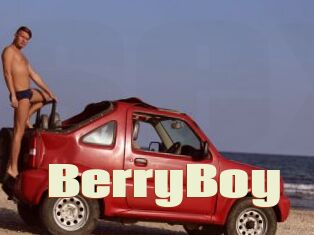 BerryBoy