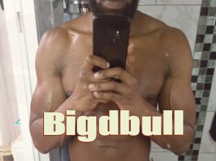 Bigdbull