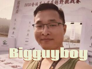 Bigguyboy