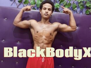 BlackBodyX