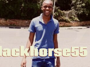 Blackhorse55