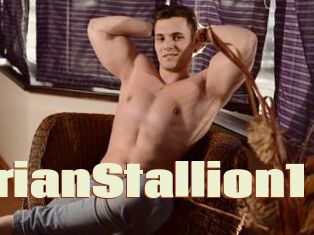 BrianStallion1