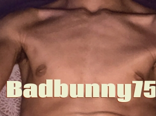 Badbunny75