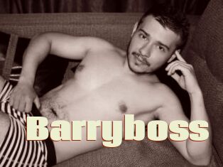 Barryboss