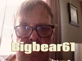 Bigbear61