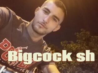 Bigcock_sh