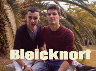 Bleicknort