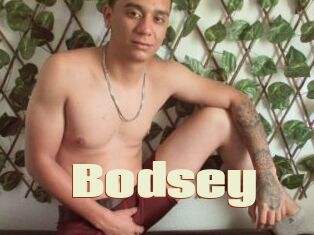 Bodsey