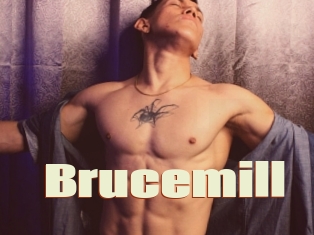 Brucemill