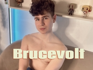 Brucevolt