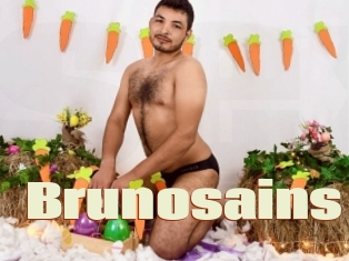 Brunosains