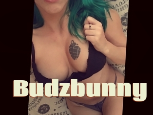 Budzbunny