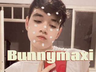 Bunnymaxi