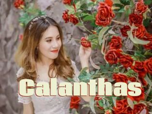 Calanthas