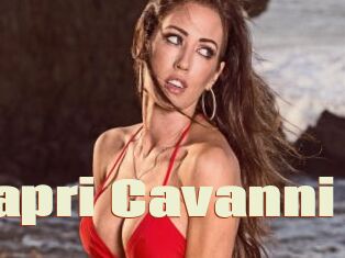 Capri_Cavanni