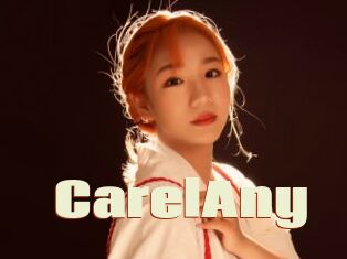 CarelAny