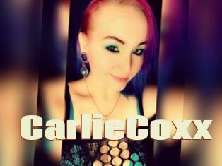 CarlieCoxx