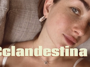 Cclandestina