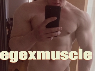 Collegexmuscle