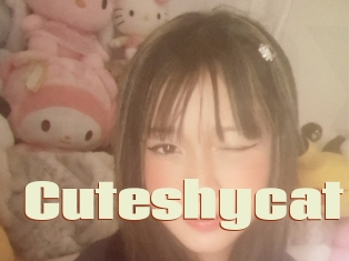 Cuteshycat